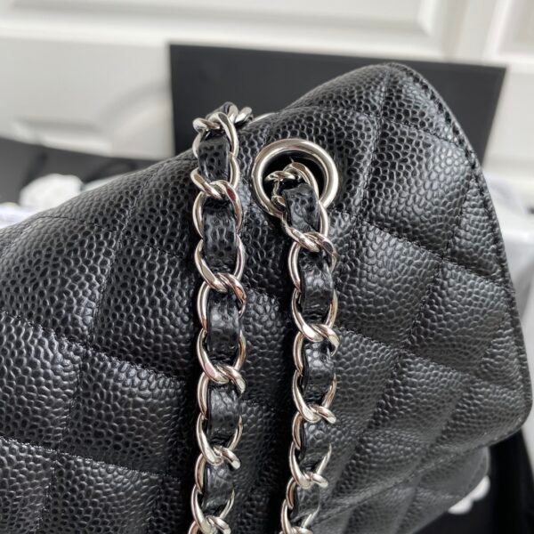 Chanel Classic Flap Bag