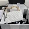 wsxc1761406112232_1 Chanel Classic Flap Bag