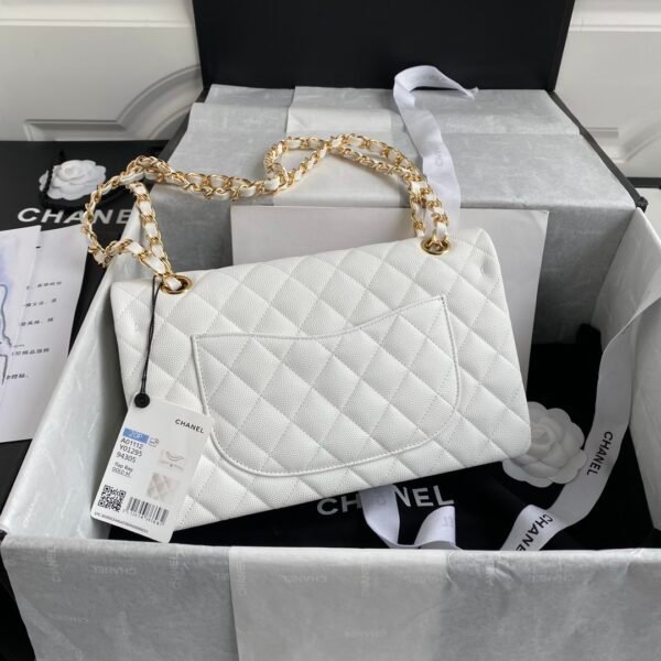wsxc1761406112232_1 Chanel Classic Flap Bag