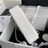 wsxc1761406112232_5 Chanel Classic Flap Bag