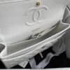 wsxc1761406112232_8 Chanel Classic Flap Bag