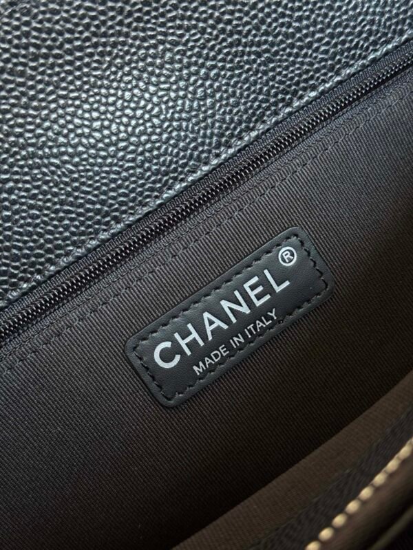 wsxc1761407529246_10 Chanel Hamps Series