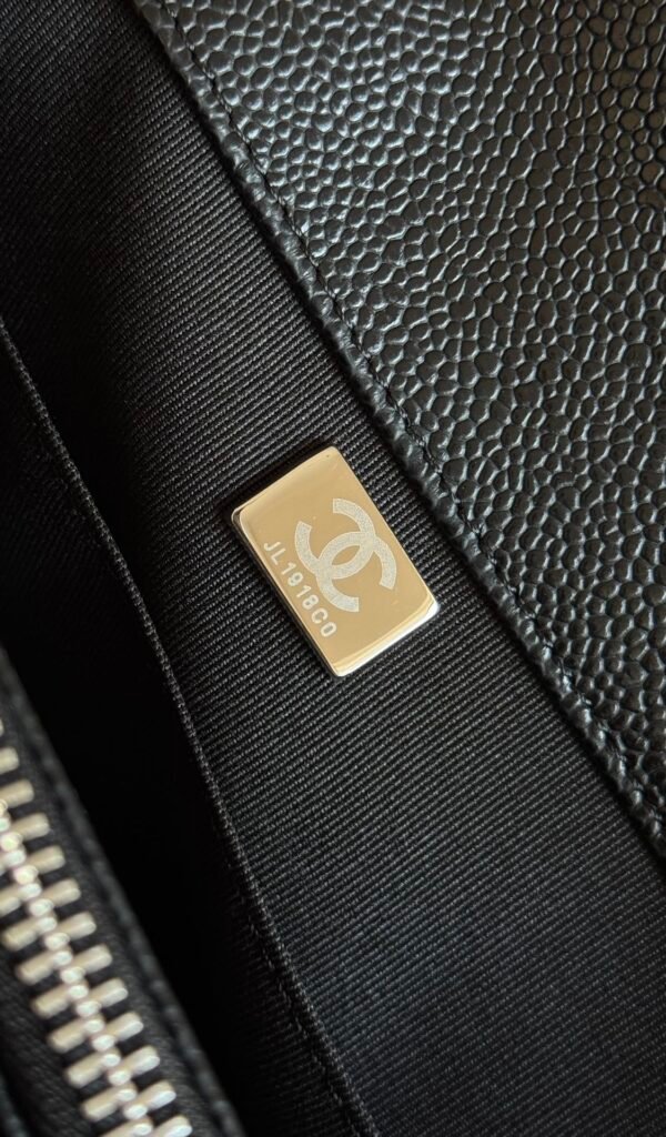 wsxc1761407529246_8 Chanel Hamps Series