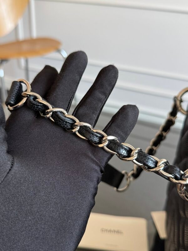 wsxc1761407529246_9 Chanel Hamps Series